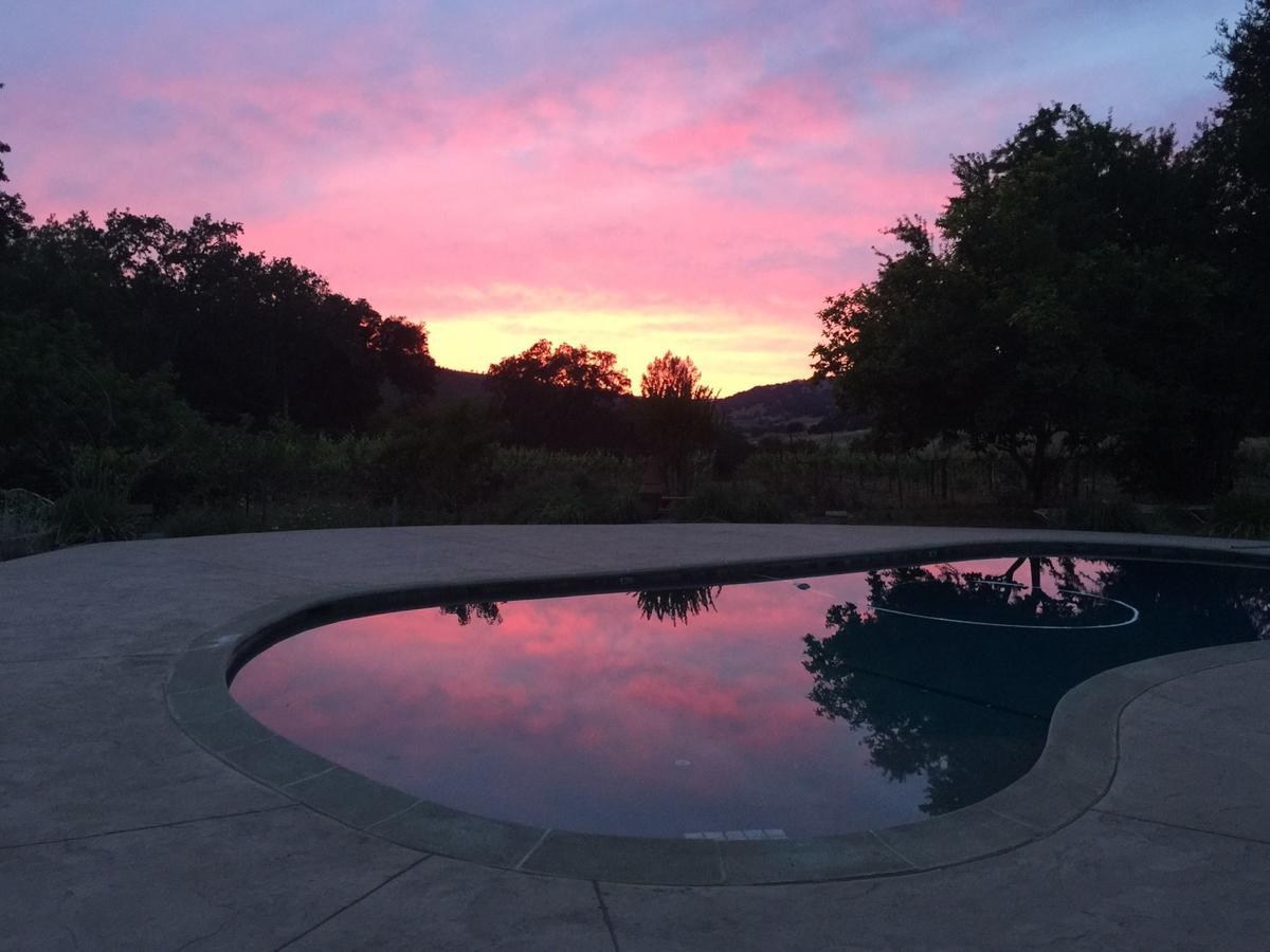 Rustridge Ranch & Winery Bed & Breakfast เซนต์เฮเลนา ภายนอก รูปภาพ