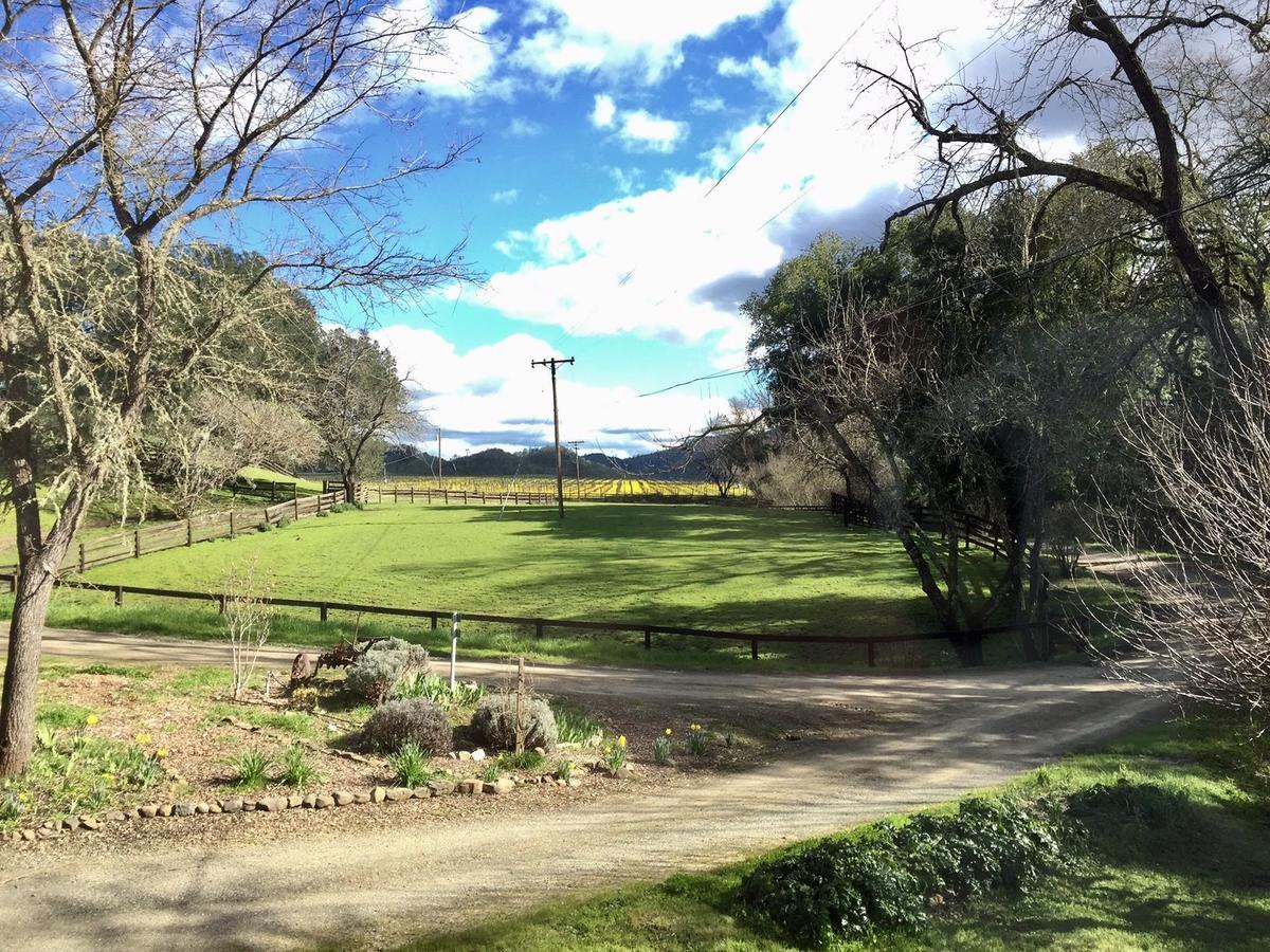 Rustridge Ranch & Winery Bed & Breakfast เซนต์เฮเลนา ภายนอก รูปภาพ