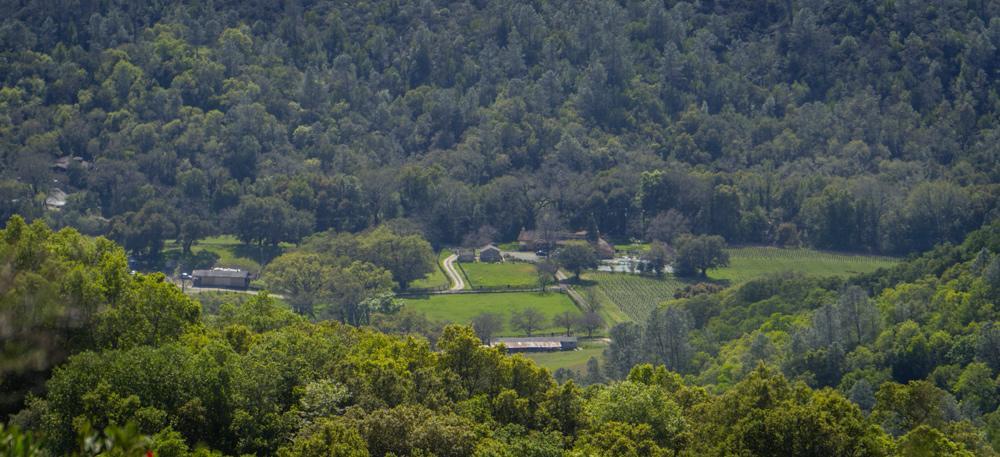 Rustridge Ranch & Winery Bed & Breakfast เซนต์เฮเลนา ภายนอก รูปภาพ