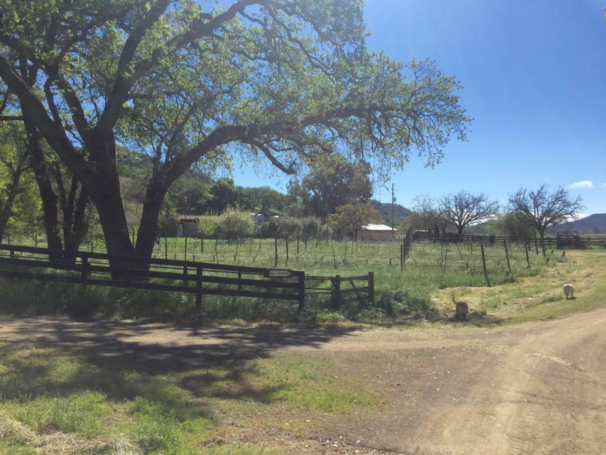 Rustridge Ranch & Winery Bed & Breakfast เซนต์เฮเลนา ภายนอก รูปภาพ