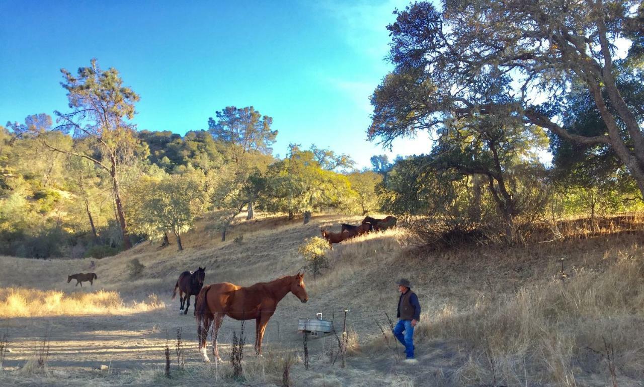 Rustridge Ranch & Winery Bed & Breakfast เซนต์เฮเลนา ภายนอก รูปภาพ