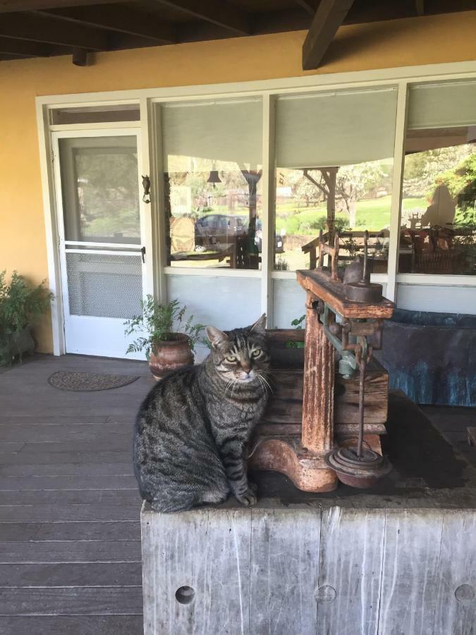 Rustridge Ranch & Winery Bed & Breakfast เซนต์เฮเลนา ภายนอก รูปภาพ