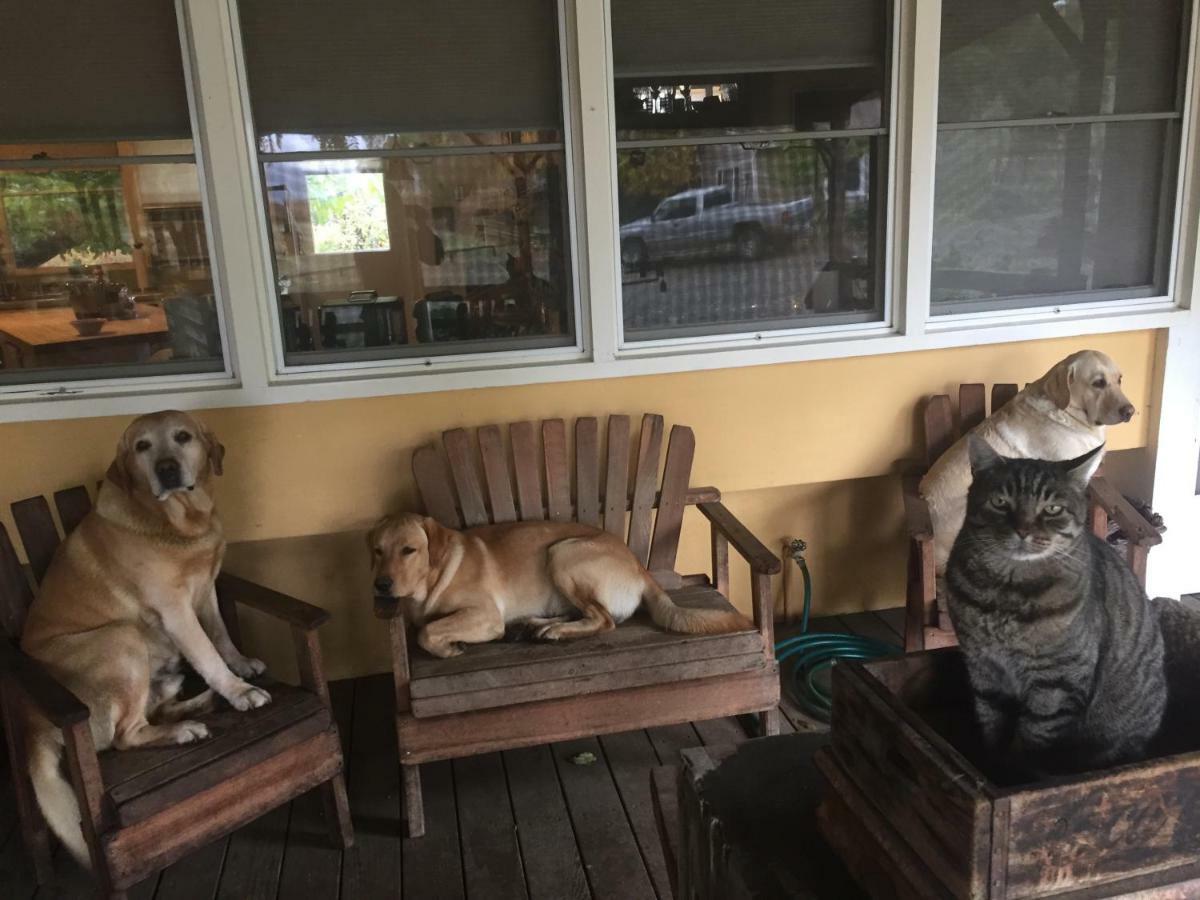 Rustridge Ranch & Winery Bed & Breakfast เซนต์เฮเลนา ภายนอก รูปภาพ
