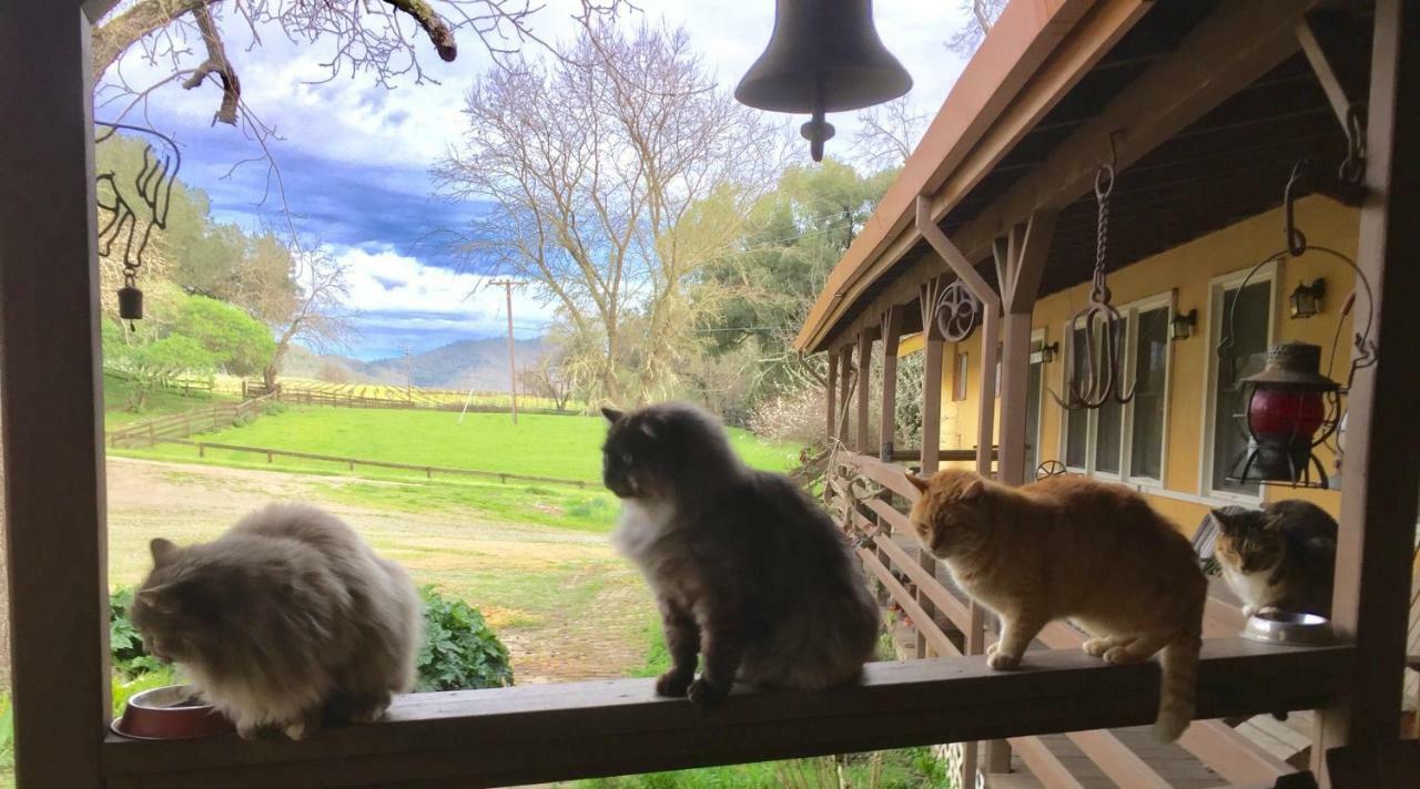 Rustridge Ranch & Winery Bed & Breakfast เซนต์เฮเลนา ภายนอก รูปภาพ